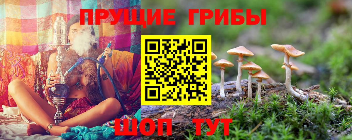 Кинель  Галлюциногенные грибы Magic Shrooms  Вход с VPN 