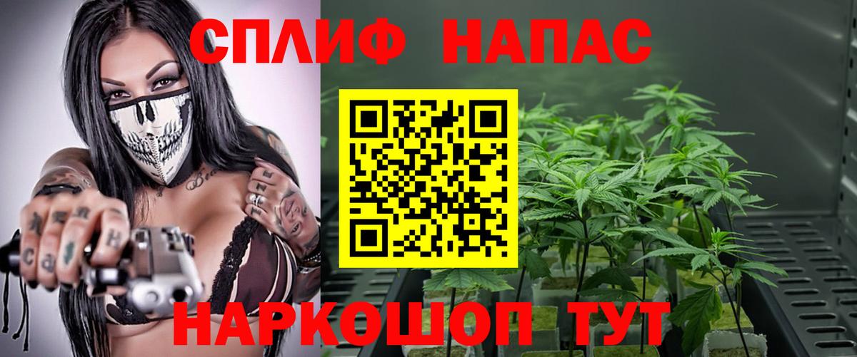 Канабис Bruce Banner  МАРИХУАНА SATIVA & INDICA  Кинель  Вход с VPN 